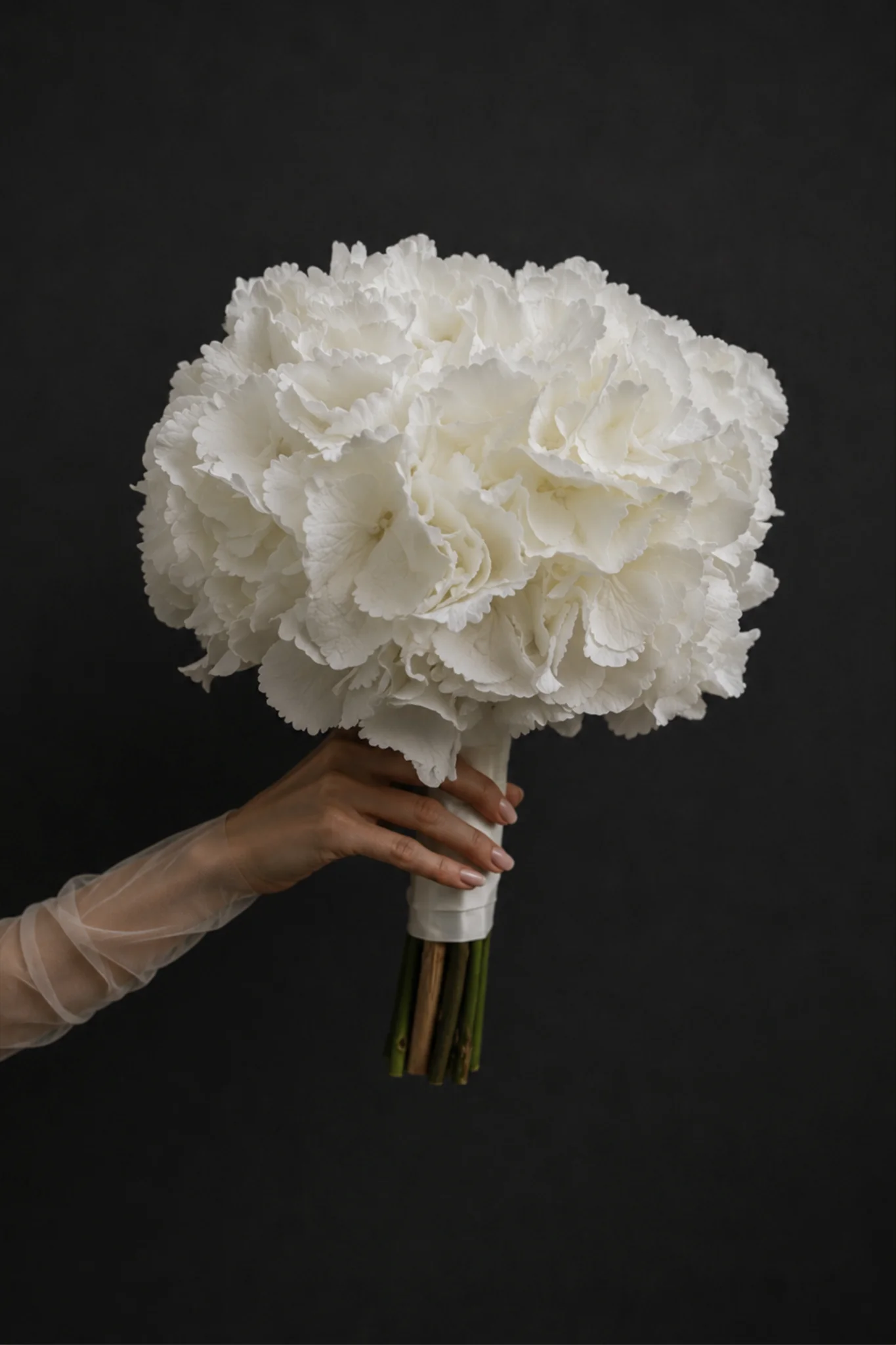 White Whisper